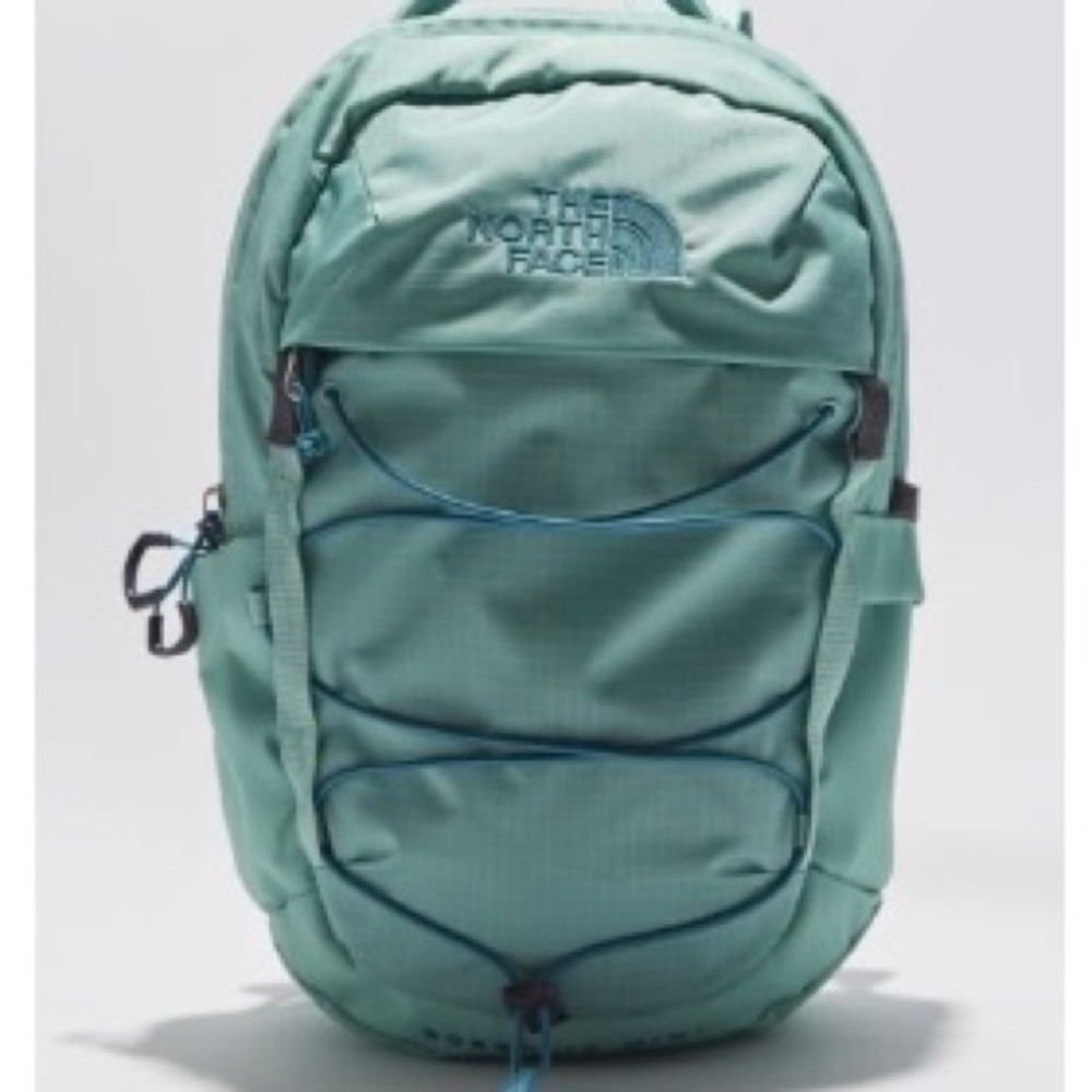 The north face Borealis mini backpack (sold out)